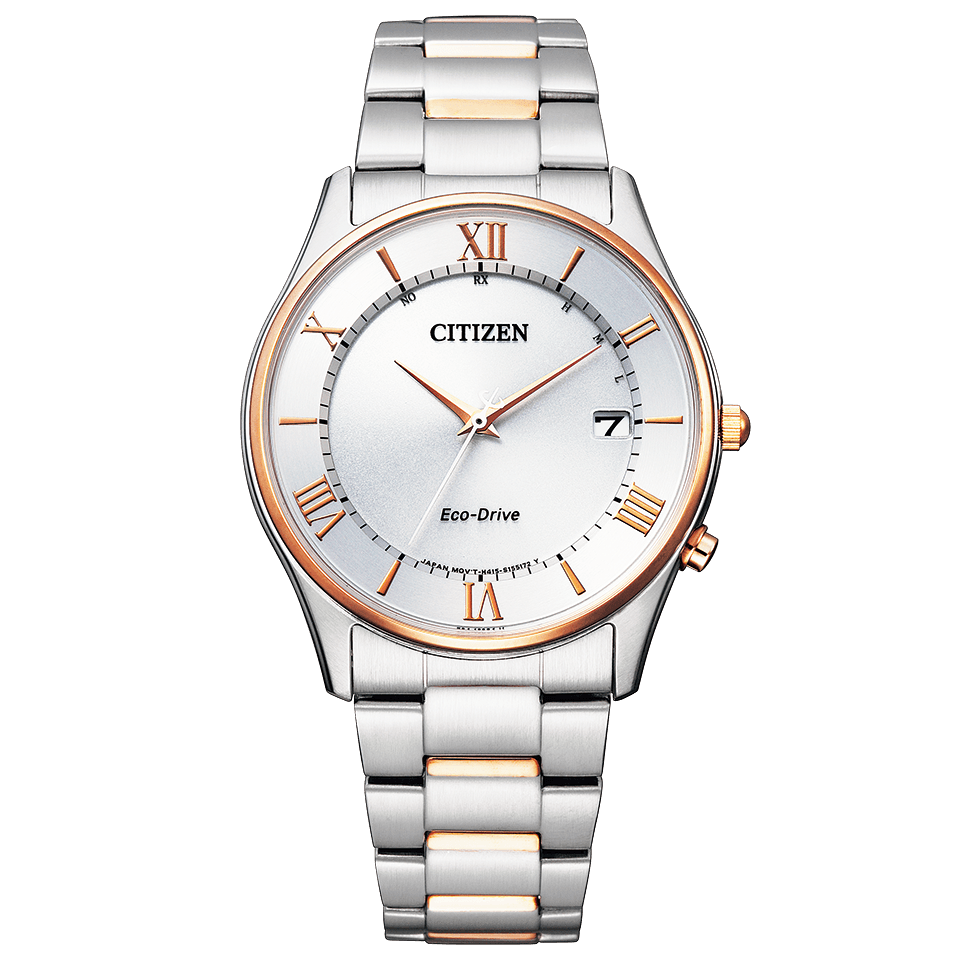 CITIZEN COLLECTION AS1062-59A